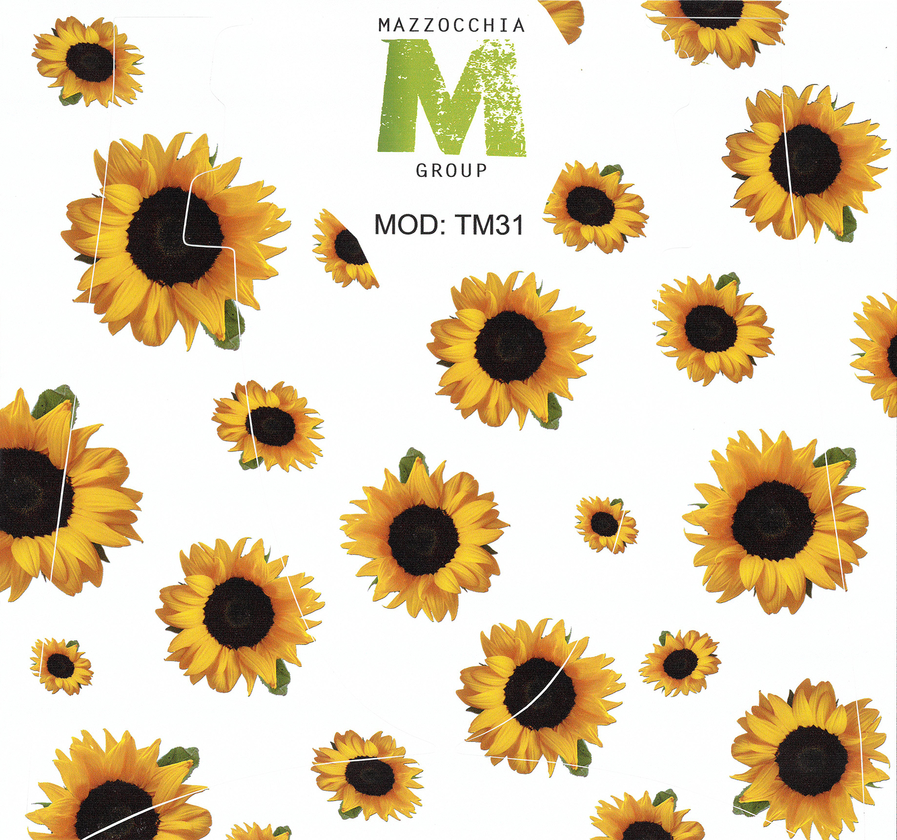 Featured image for “ADESIVO BIMBY 31 GIRASOLE”