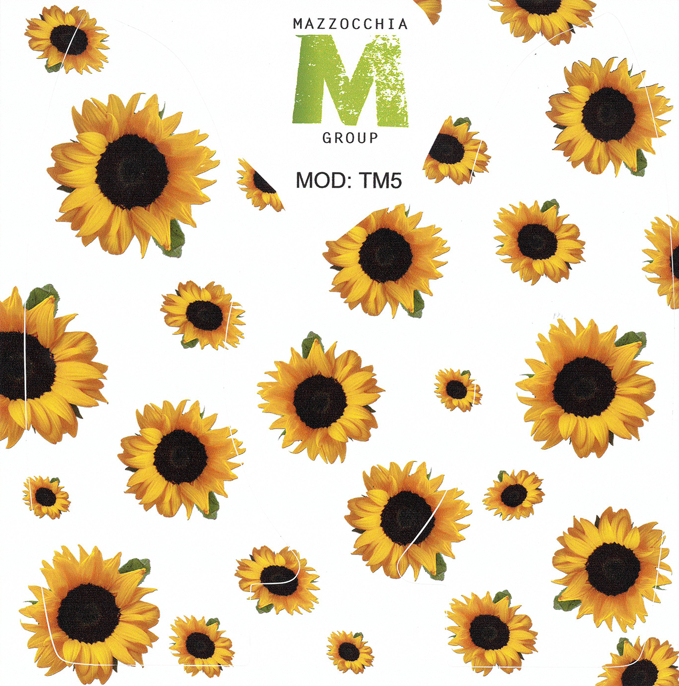 Featured image for “ADESIVO BIMBY 5 GIRASOLE”